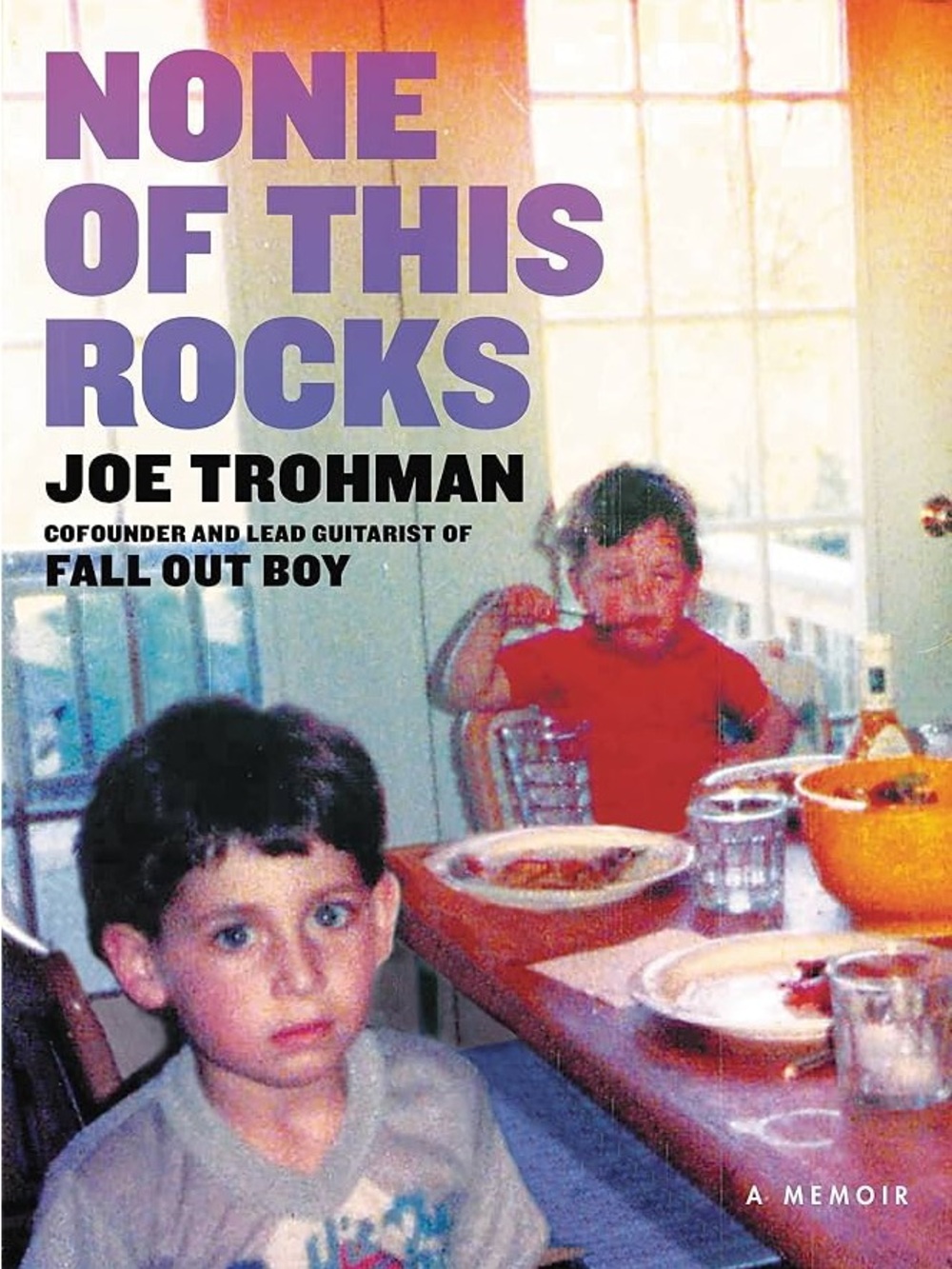 SIGNED "None of This Rocks" by Joe Trohman of Fall Out Boy